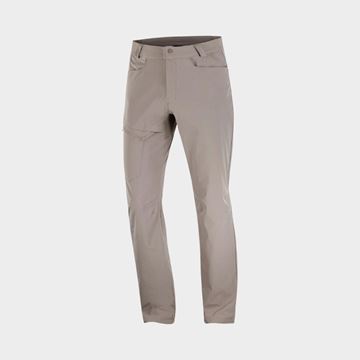 Picture of Salomon wayfarer pants for men Iron